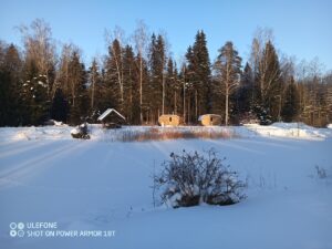 IMG_20260131_151204_380